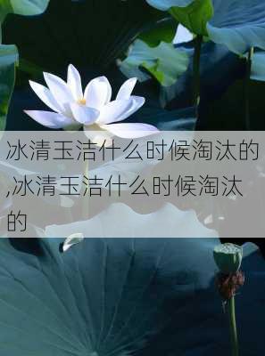 冰清玉洁什么时候淘汰的,冰清玉洁什么时候淘汰的