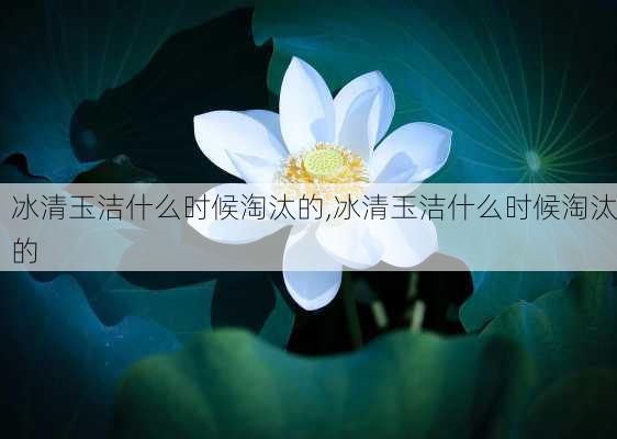 冰清玉洁什么时候淘汰的,冰清玉洁什么时候淘汰的