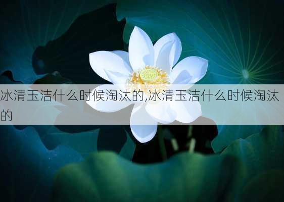 冰清玉洁什么时候淘汰的,冰清玉洁什么时候淘汰的