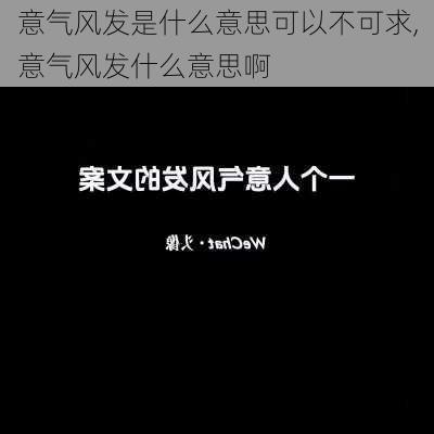 意气风发是什么意思可以不可求,意气风发什么意思啊