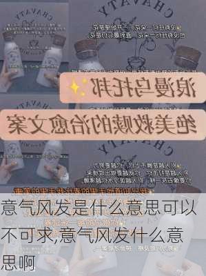 意气风发是什么意思可以不可求,意气风发什么意思啊