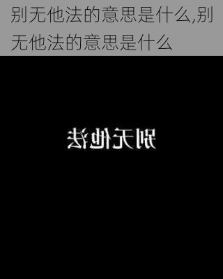 别无他法的意思是什么,别无他法的意思是什么