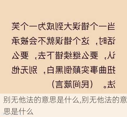 别无他法的意思是什么,别无他法的意思是什么