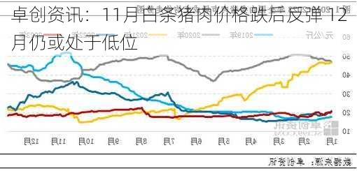 卓创资讯：11月白条猪肉价格跌后反弹 12月仍或处于低位