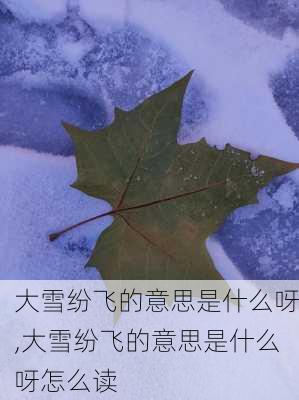 大雪纷飞的意思是什么呀,大雪纷飞的意思是什么呀怎么读