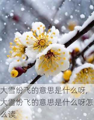 大雪纷飞的意思是什么呀,大雪纷飞的意思是什么呀怎么读