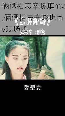 俩俩相忘辛晓琪mv,俩俩相忘辛晓琪mv现场版