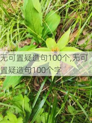 无可置疑造句100个,无可置疑造句100个字