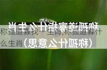 称孤道寡找一生肖,称孤道寡什么生肖