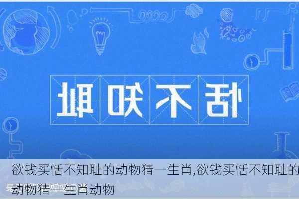 欲钱买恬不知耻的动物猜一生肖,欲钱买恬不知耻的动物猜一生肖动物