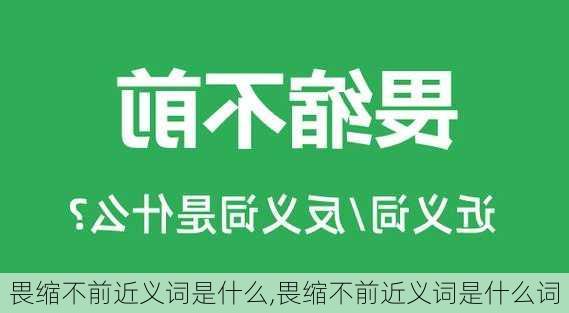 畏缩不前近义词是什么,畏缩不前近义词是什么词