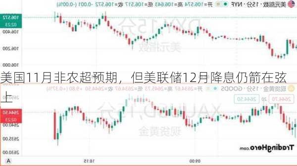 美国11月非农超预期，但美联储12月降息仍箭在弦上