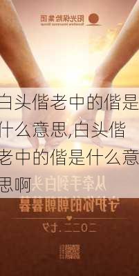 白头偕老中的偕是什么意思,白头偕老中的偕是什么意思啊