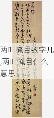 两叶掩目数字几,两叶掩目什么意思