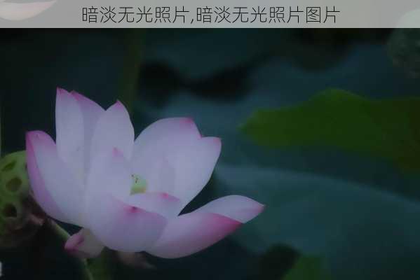 暗淡无光照片,暗淡无光照片图片