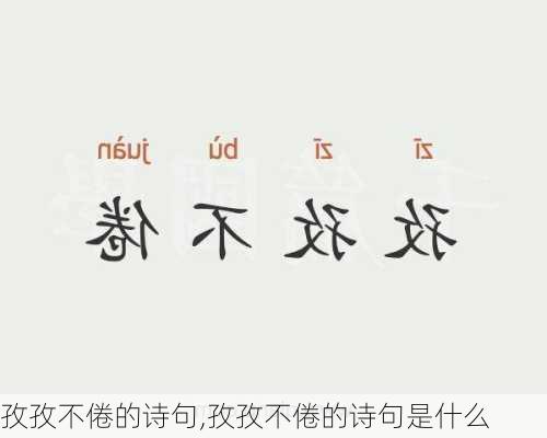 孜孜不倦的诗句,孜孜不倦的诗句是什么