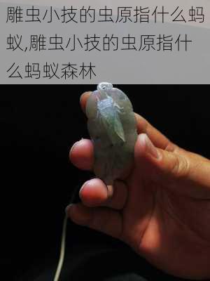 雕虫小技的虫原指什么蚂蚁,雕虫小技的虫原指什么蚂蚁森林