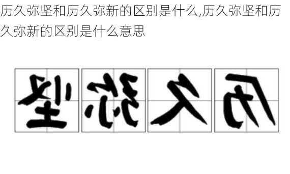 历久弥坚和历久弥新的区别是什么,历久弥坚和历久弥新的区别是什么意思