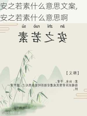 安之若素什么意思文案,安之若素什么意思啊