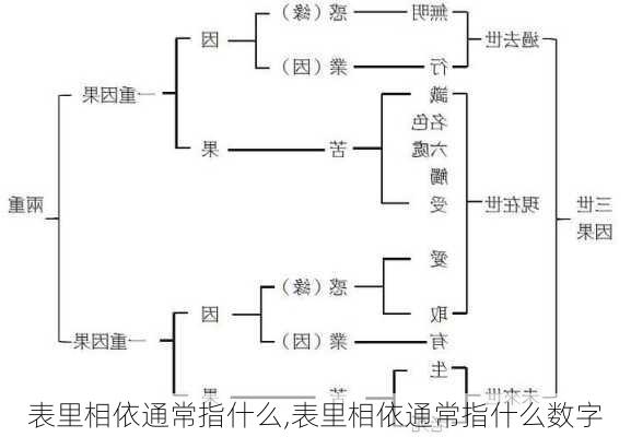 表里相依通常指什么,表里相依通常指什么数字