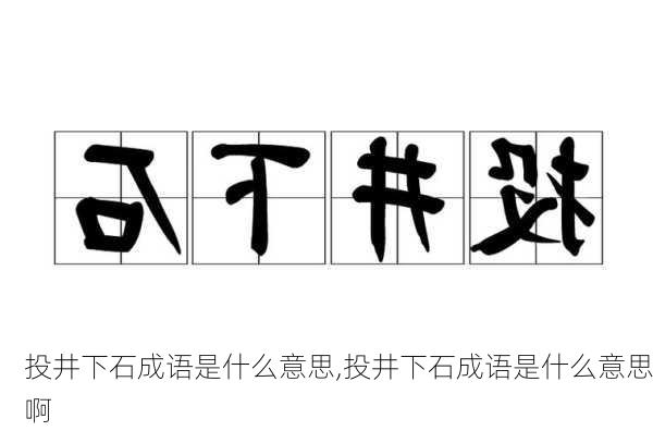 投井下石成语是什么意思,投井下石成语是什么意思啊