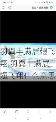 羽翼丰满展翅飞翔,羽翼丰满展翅飞翔什么意思