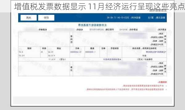 增值税发票数据显示 11月经济运行呈现这些亮点