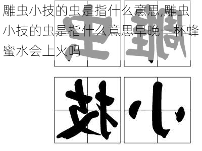 雕虫小技的虫是指什么意思,雕虫小技的虫是指什么意思早晚一杯蜂蜜水会上火吗