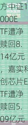 最不受欢迎ETF：12月11日南方中证1000ETF遭净赎回8.14亿元，嘉实科创芯片ETF遭净赎回5.09亿元