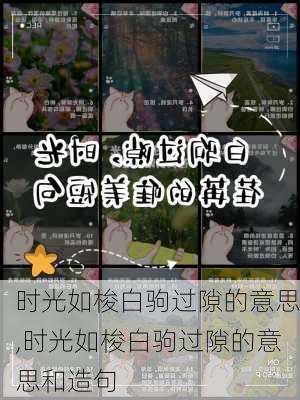 时光如梭白驹过隙的意思,时光如梭白驹过隙的意思和造句