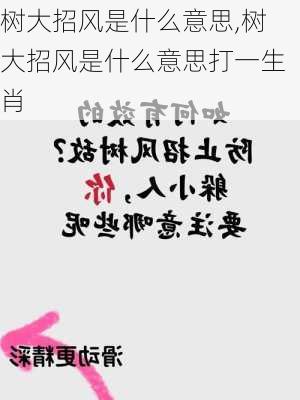 树大招风是什么意思,树大招风是什么意思打一生肖