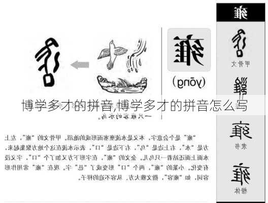 博学多才的拼音,博学多才的拼音怎么写