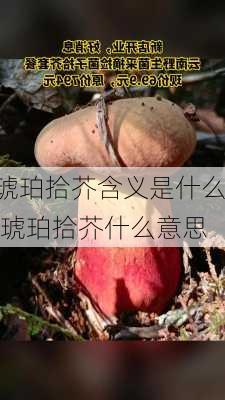 琥珀拾芥含义是什么,琥珀拾芥什么意思