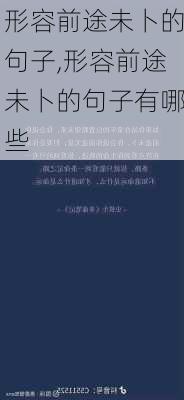 形容前途未卜的句子,形容前途未卜的句子有哪些