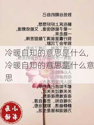 冷暖自知的意思是什么,冷暖自知的意思是什么意思