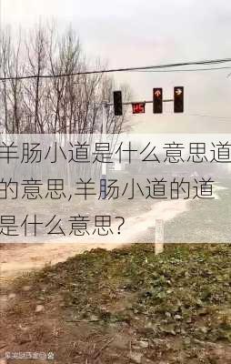 羊肠小道是什么意思道的意思,羊肠小道的道是什么意思?