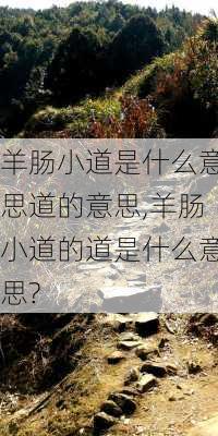 羊肠小道是什么意思道的意思,羊肠小道的道是什么意思?