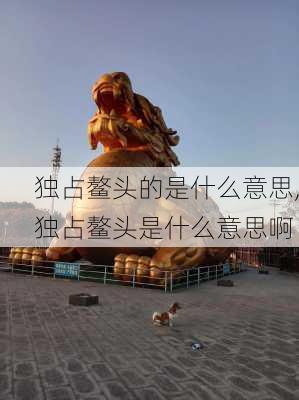 独占鳌头的是什么意思,独占鳌头是什么意思啊