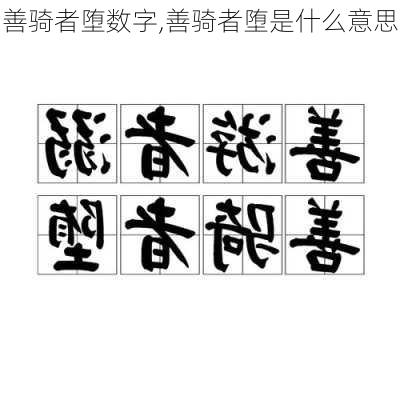 善骑者堕数字,善骑者堕是什么意思