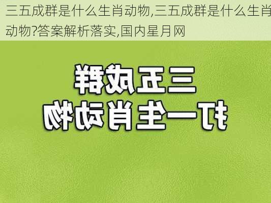 三五成群是什么生肖动物,三五成群是什么生肖动物?答案解析落实,国内星月网