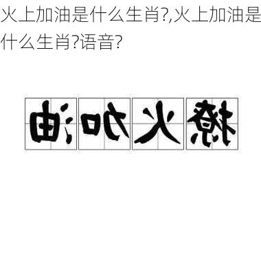 火上加油是什么生肖?,火上加油是什么生肖?语音?