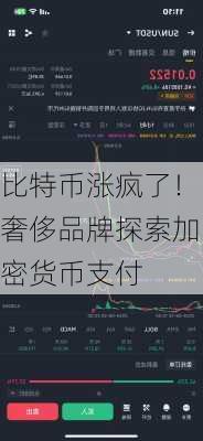 比特币涨疯了！奢侈品牌探索加密货币支付