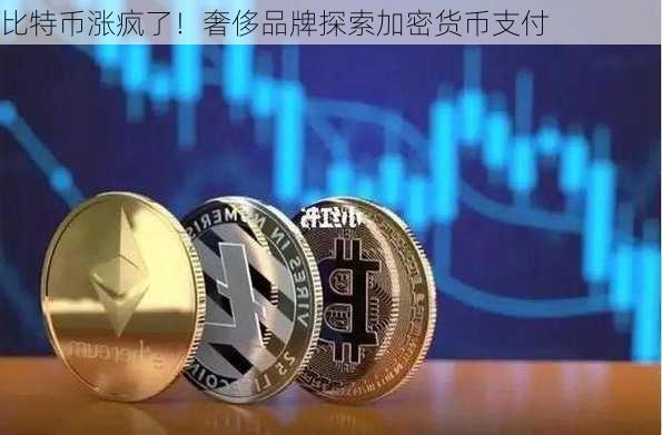 比特币涨疯了！奢侈品牌探索加密货币支付