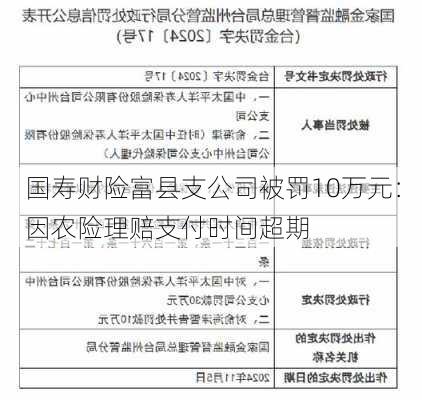 国寿财险富县支公司被罚10万元：因农险理赔支付时间超期