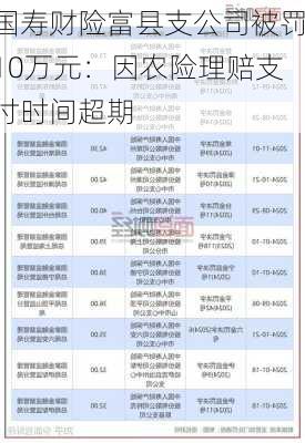 国寿财险富县支公司被罚10万元：因农险理赔支付时间超期