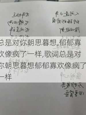 总是对你朝思暮想,郁郁寡欢像疯了一样,歌词总是对你朝思暮想郁郁寡欢像疯了一样