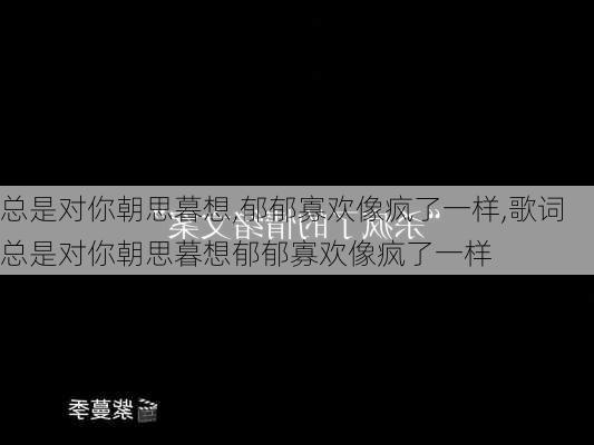 总是对你朝思暮想,郁郁寡欢像疯了一样,歌词总是对你朝思暮想郁郁寡欢像疯了一样