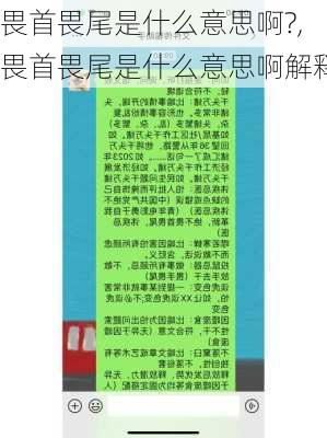 畏首畏尾是什么意思啊?,畏首畏尾是什么意思啊解释