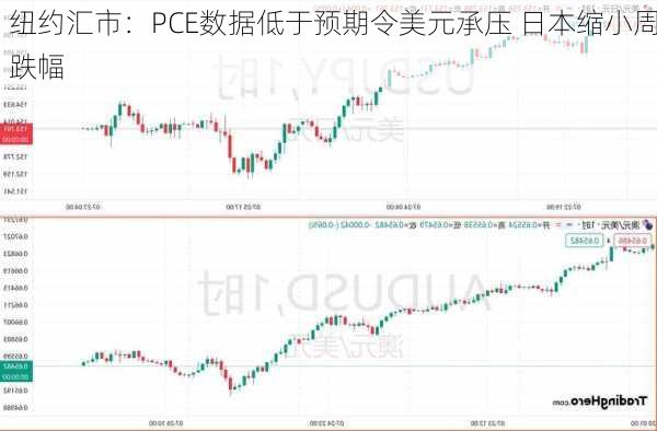 纽约汇市：PCE数据低于预期令美元承压 日本缩小周跌幅