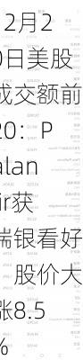 12月20日美股成交额前20：Palantir获瑞银看好，股价大涨8.5%